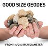 A man holds many geodes in his hands. The geodes range in size from 1-2 inches in diameter.