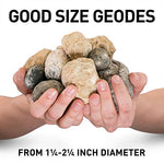 A man holds many geodes in his hands. The geodes range in size from 1-2 inches in diameter.