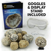 Several geodes are visible along with safety glasses and the National Geographic Geodes Learning Guide.